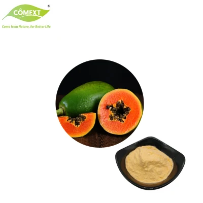 Comext fornisce un campione gratuito di estratto di papaia naturale con enzima papaina in polvere