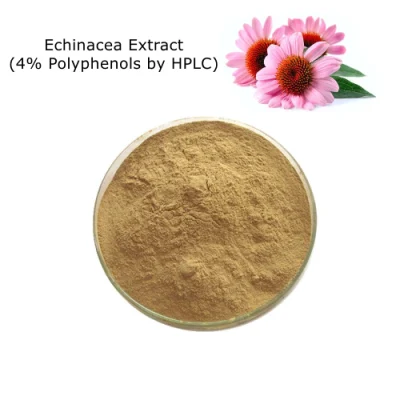Estratto di Echinacea naturale al 100% (4% di polifenoli mediante HPLC) come additivi alimentari