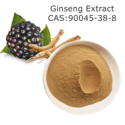 Polvere di estratto di radice di ginseng Panax naturale al 100% CAS 90045